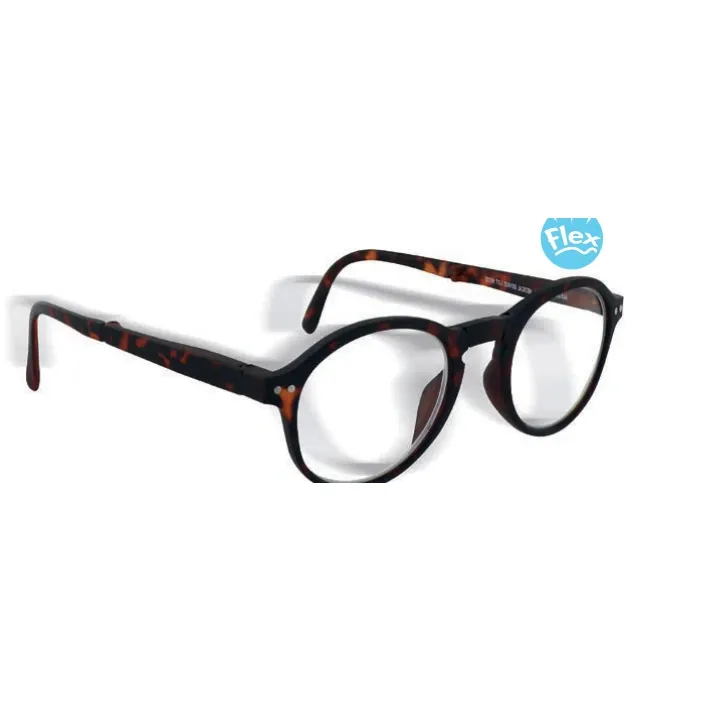Steele Lunettes de lecture pliables Amazing +3.00