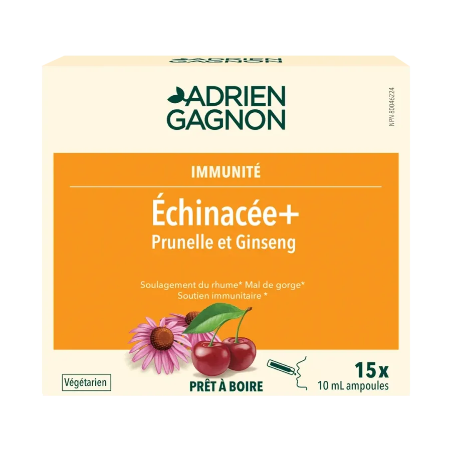 Échinacée Adultes